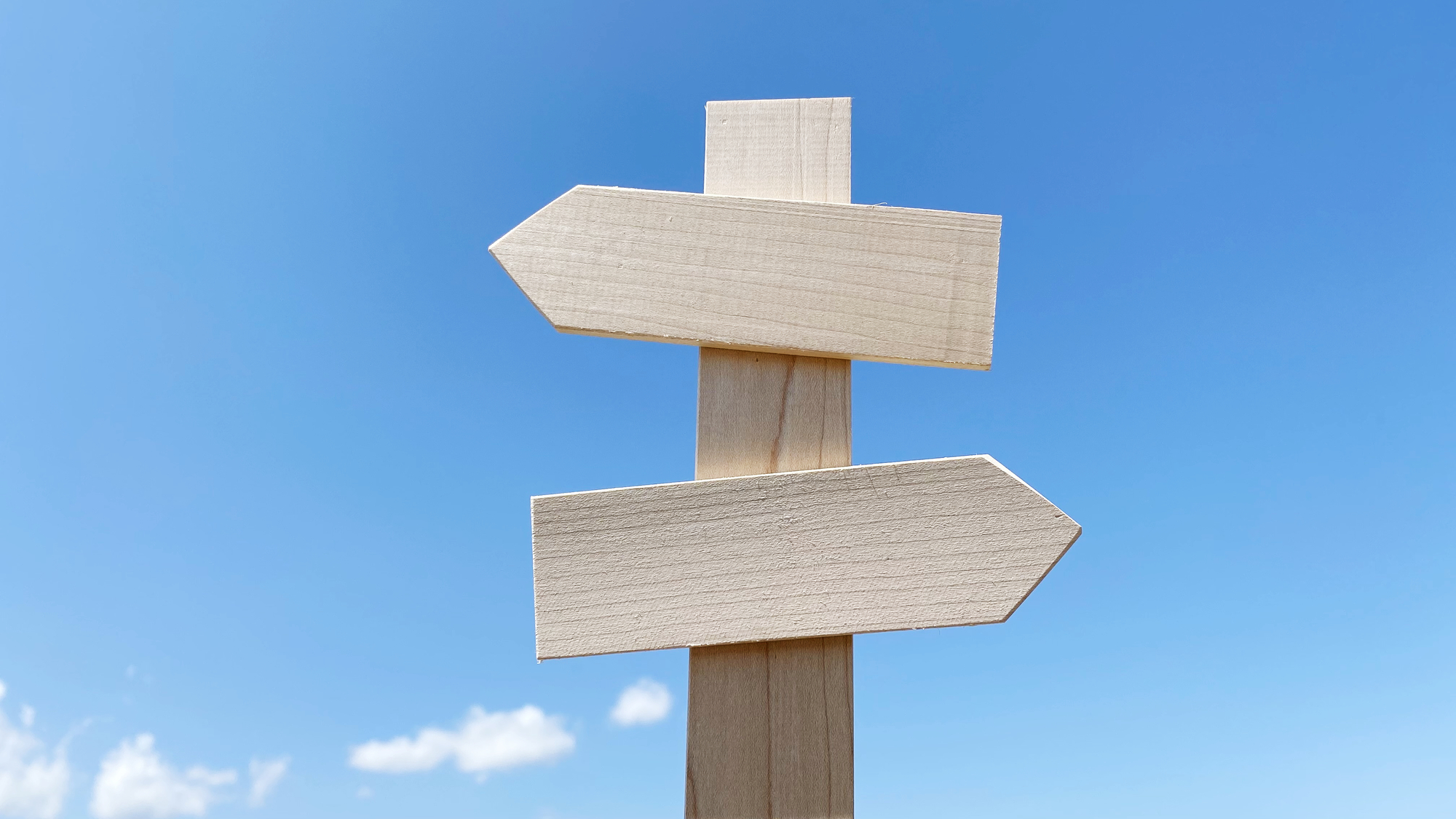 あなたが輝ける「道」を見出します☆の写真